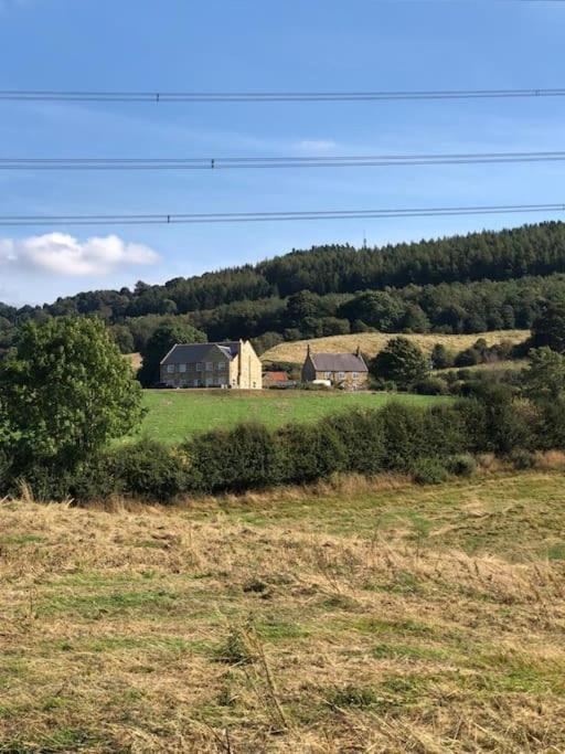 Foxhall Farm Thirsk Dış mekan fotoğraf