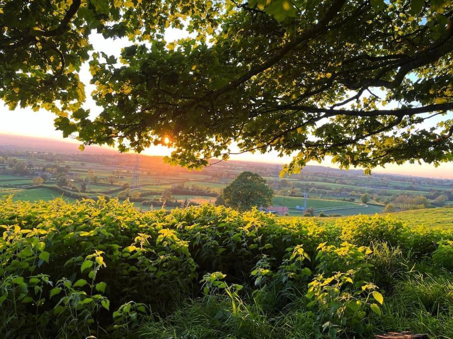 Foxhall Farm Thirsk Dış mekan fotoğraf