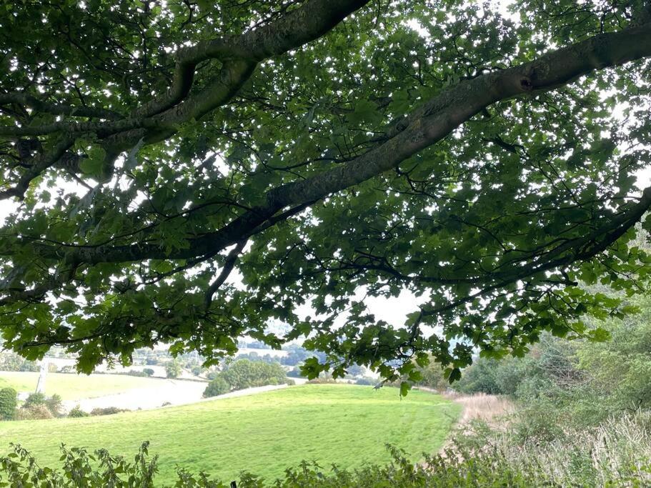 Foxhall Farm Thirsk Dış mekan fotoğraf