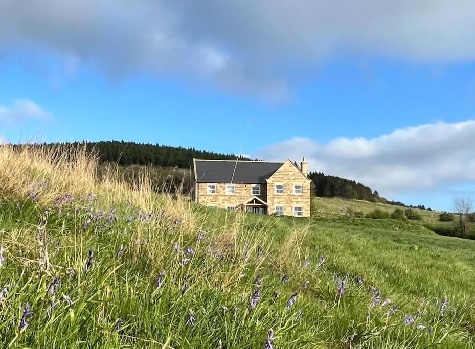 Foxhall Farm Thirsk Dış mekan fotoğraf